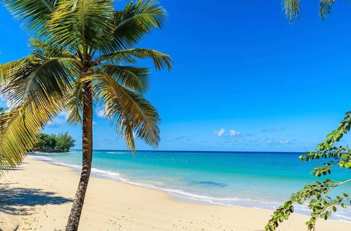 Paradise Townhome On Mullins Beach Saint Peter 0*,